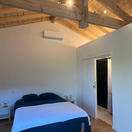 Maison En Première Ligne Port De De Buch Villa